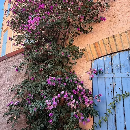 Maison Climatisee Proche Centre - 4 Pers. - Fr-1-309-588 Banyuls-sur-Mer